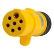 Luftkombinationsstecker PÖLZ Spidy 12/24 V