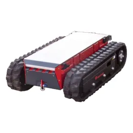 Raupenfahrzeug RTE Robot MY25